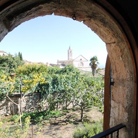 Nonna Flo Apartment Assisi Luaran gambar